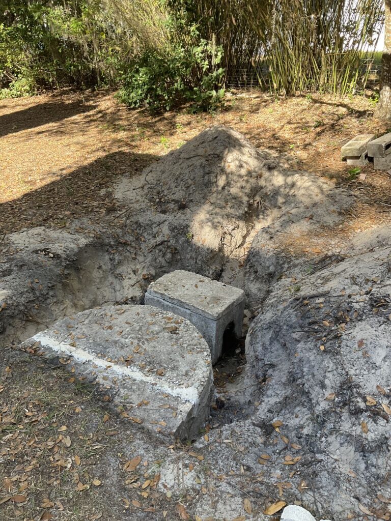 Excavated septic tank with concrete lids uncovered in a sandy yard