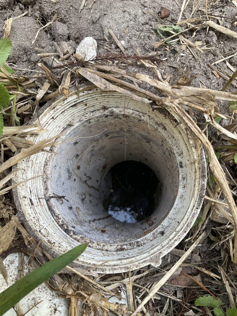 Open PVC cleanout pipe in the ground surrounded by weeds and dry grass